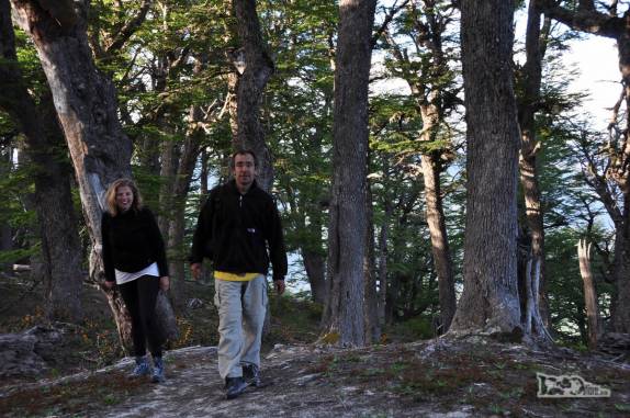 Trecho de bosque da trilha que leva ao cume do Cerro Falkner, no Parque Lanin, na região de San Martín de Los Andes, na Argentina